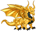 Gold Dragon